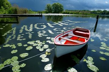 carpbook
